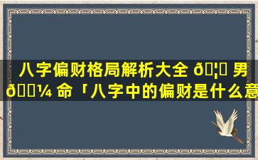 八字偏财格局解析大全 🦉 男 🐼 命「八字中的偏财是什么意思命带偏财有哪些作用」